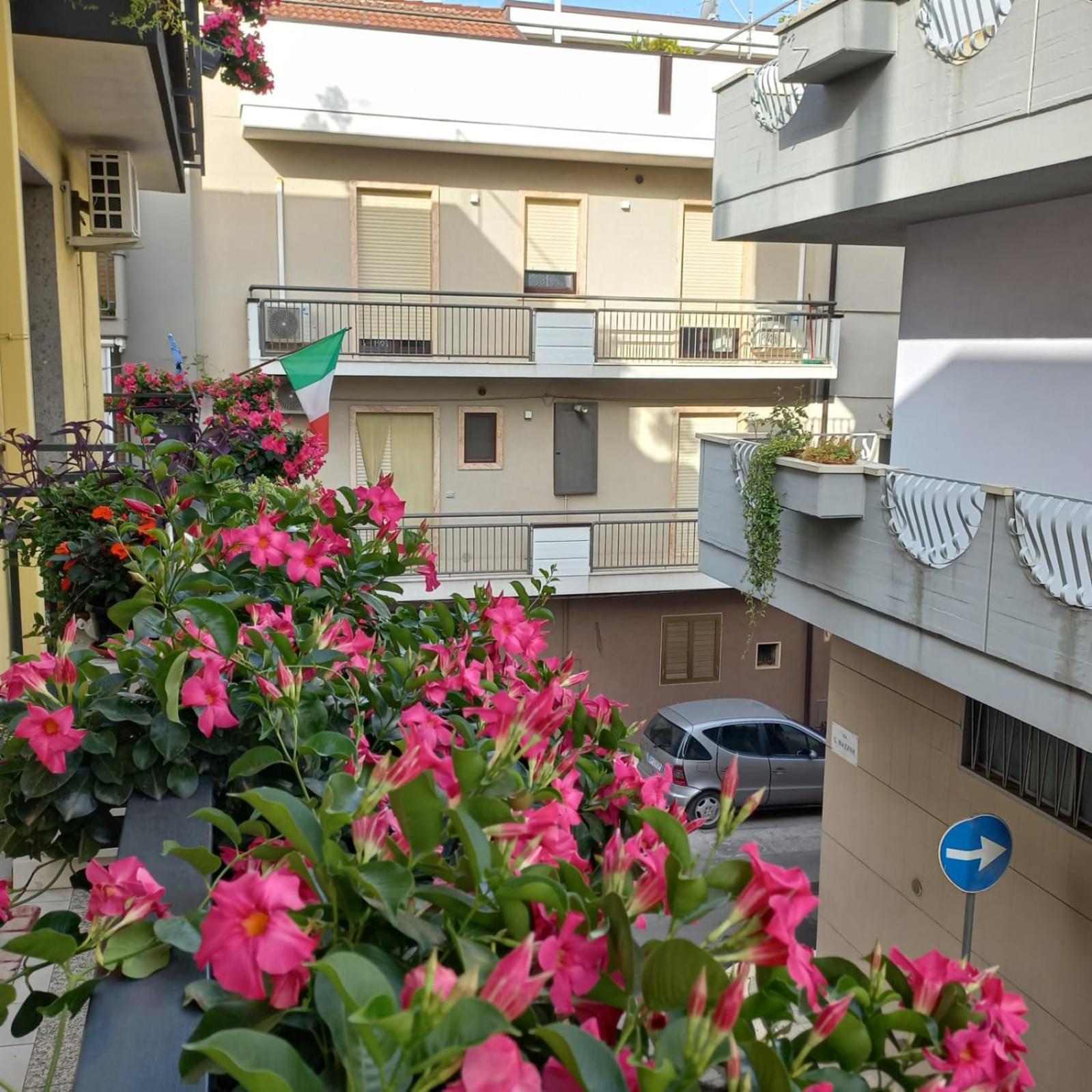 ألتامورا B&B Stupor Mundi المظهر الخارجي الصورة